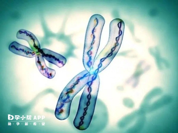 郑州不孕不育的病因及治疗策略